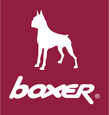 boxer